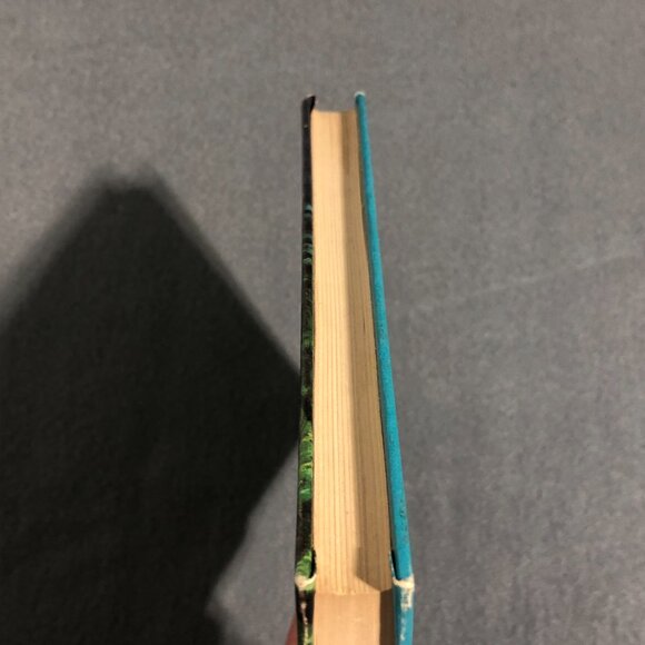 The Hardy Boys #41 The Clue of the Screeching Owl c. 1962 Grosset & Dunlap ~ HB - Picture 5 of 9